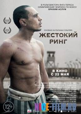 Жестокий ринг (2014)