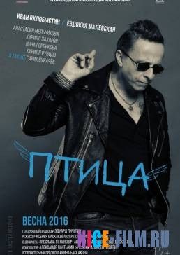 Птица (2017)