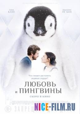 Любовь и пингвины (2016)